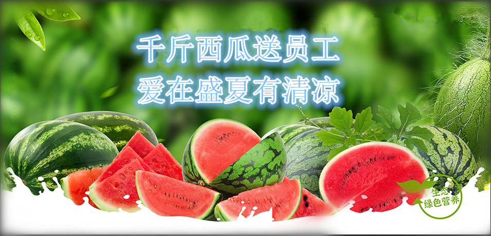 通達軟件公司： 千斤西瓜送員工，愛在盛夏有清涼